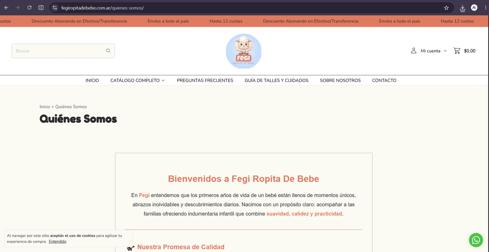 Diseño Web: Fergi Ropita de Bebé